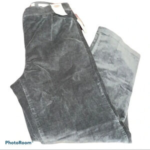 Northern  Reflections Grey corduroy Essential Stretch pants Sz 6
